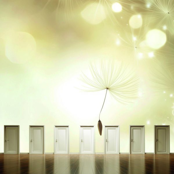 Tageskurs Stage of Life Improvisationstheater